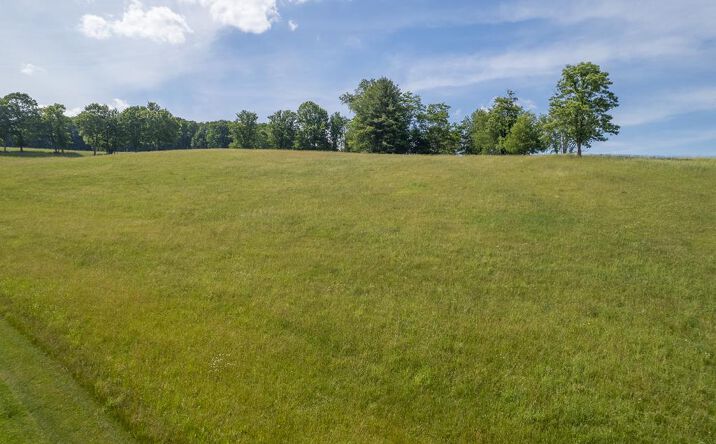 Pictures of Land, Multifamily property located at TBD Monarch Ln, Wytheville, VA 24382 for sales - image #1