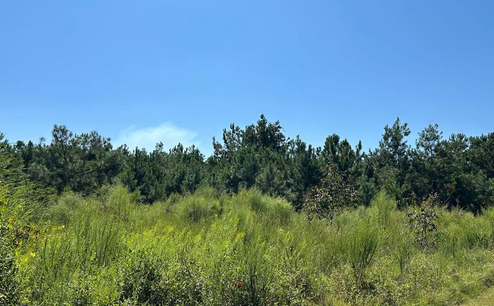 Pictures of Land property located at TBD Butler Lane, Valdosta, GA 31606 for sales - image #1