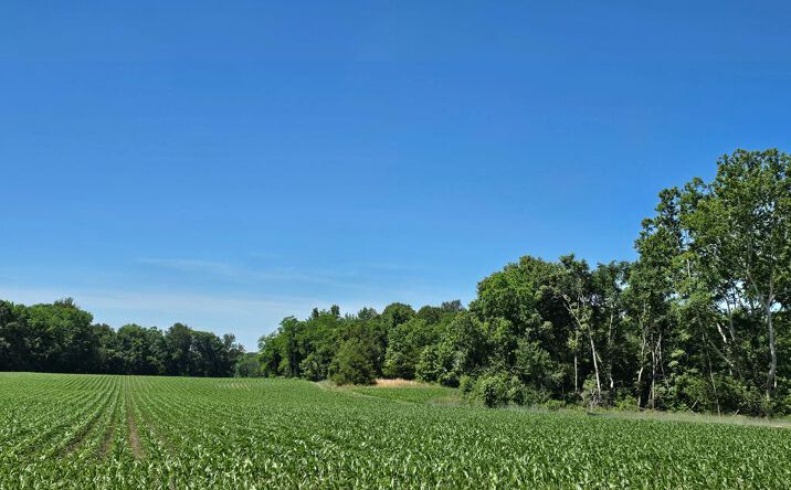 710 Pea Ridge Ln, WARSAW