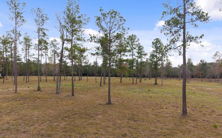 Pictures of Retail, Land property located at TBD LOT 3 FM 3152 Road, Livingston, TX 77351 for sales - image #1