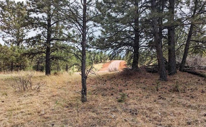 Pictures of Land property located at Lot 3 argyle rd, Hot Springs, SD 57747 for sales - image #1