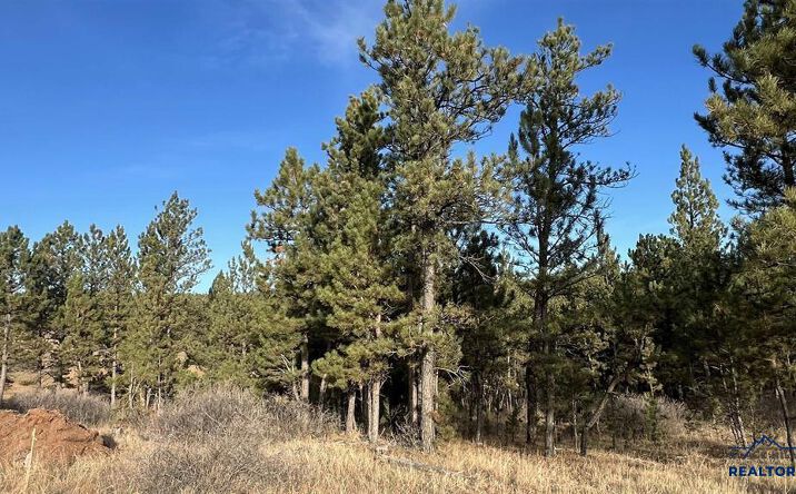 Pictures of Land property located at Lot 5 Westwind Dr, Hot Springs, SD 57747 for sales - image #1