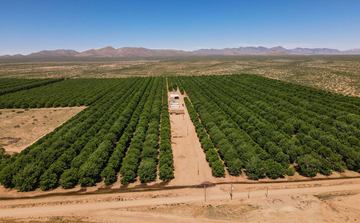 Pictures of Land property located at 4968 West Gleeson Road, Elfrida, AZ 85610 for sales - image #1