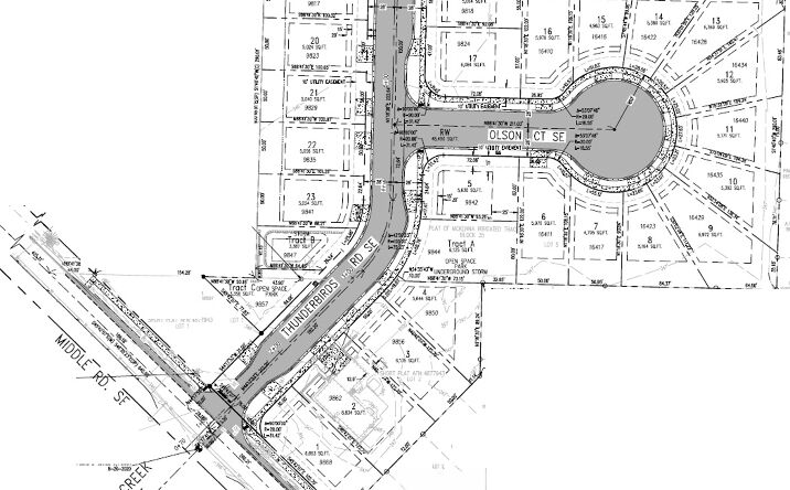 Pictures of Land property located at 16418 Middle Road Southeast, Yelm, WA 98597 for sales - image #1