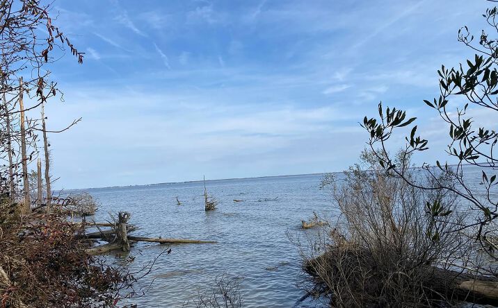 Pictures of Land property located at 1598 Wades Point Rd, Elizabeth City, NC 27909 for sales - image #1