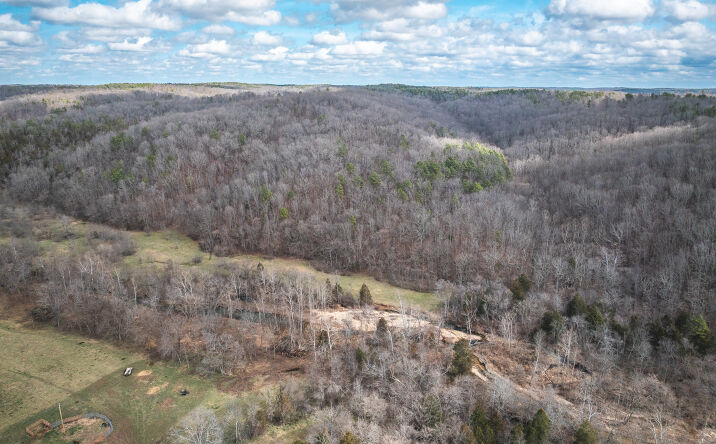 Pictures of Land property located at County Road 5615, Bunker, MO 63629 for sales - image #1