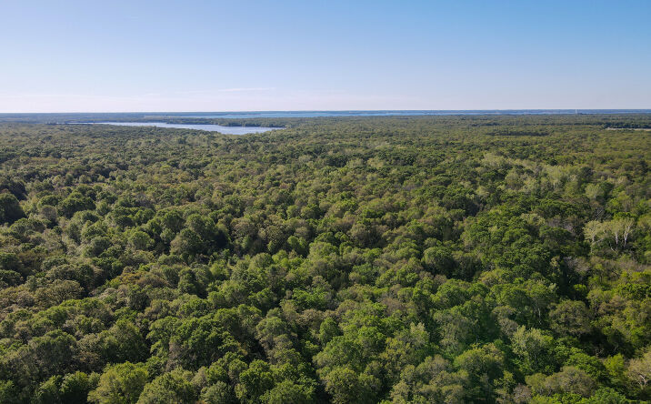 Pictures of Land property located at 3842 Farm to Market Road 2029, Telephone, TX 75488 for sales - image #1