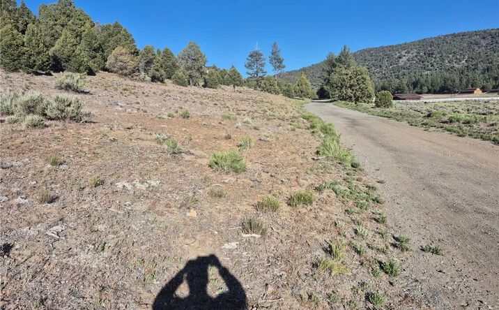 Pictures of Land property located at 2787 Erwin Ranch, Big Bear City, CA 92314 for sales - image #1
