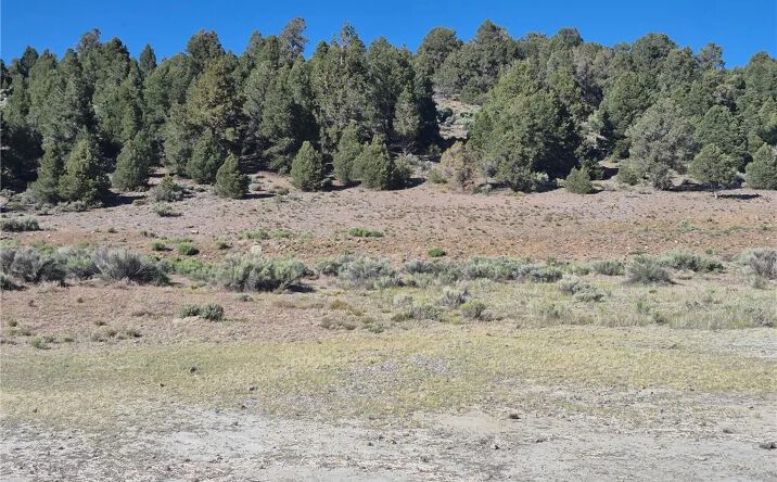 Pictures of Land property located at 2787 Erwin Ranch, Big Bear City, CA 92314 for sales - image #1