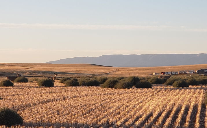 Pictures of Land property located at TBD Antelope Road, Shawmut, MT 59078 for sales - image #1