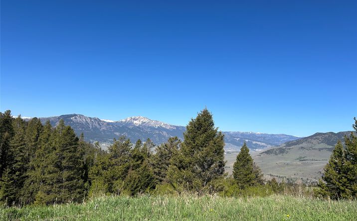 Pictures of Land property located at 384 Crevice Mountain Road, Gardiner, MT 59030 for sales - image #1