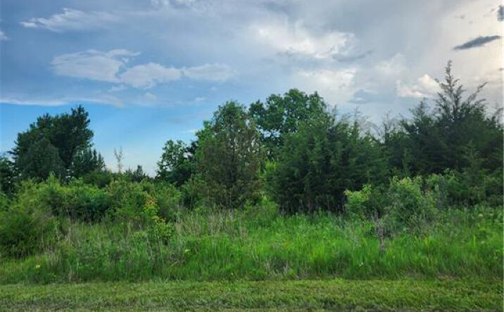 Pictures of Land, Special Purpose, Multifamily property located at 22 & 26 Ravens Roost Drive, Linn Valley, KS 66040 for sales - image #1