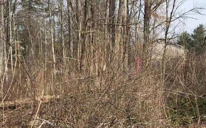 Pictures of Land property located at 19 & 25 Clearbrook Drive, Mahopac, NY 10541 for sales - image #1