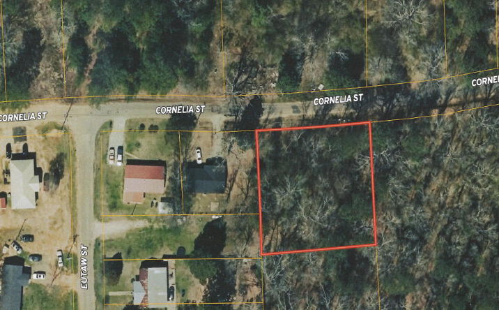 Pictures of Land property located at Cornelia Street, Marion, AL 36756 for sales - image #1