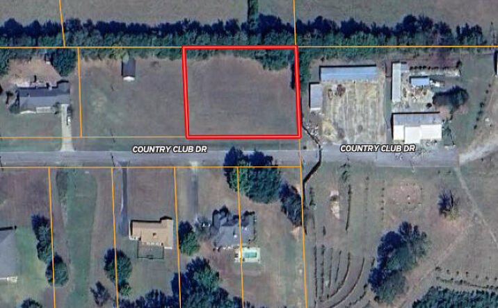 Pictures of Land property located at Country Club Drive, Linden, AL 36748 for sales - image #1