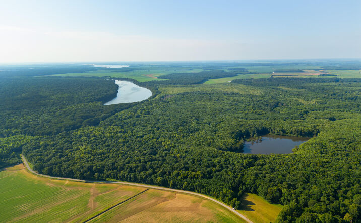 Pictures of Land property located at Chisholm Lake Road, Ripley, TN 38063 for sales - image #1