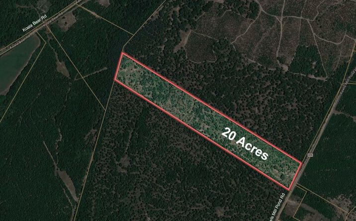 Pictures of Land, Special Purpose property located at 20 Acres Rawls Mill Pond Road, Wagener, SC 29164 for sales - image #1