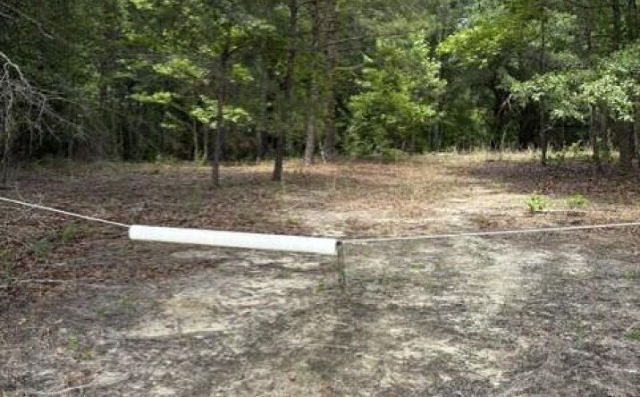 Pictures of Land, Special Purpose property located at Cemetery Road, Elko, SC 29826 for sales - image #1