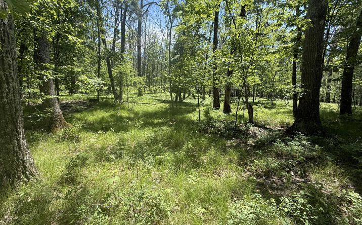 Pictures of Land property located at 338 Mossy Hill Road, Catskill, NY 12414 for sales - image #1