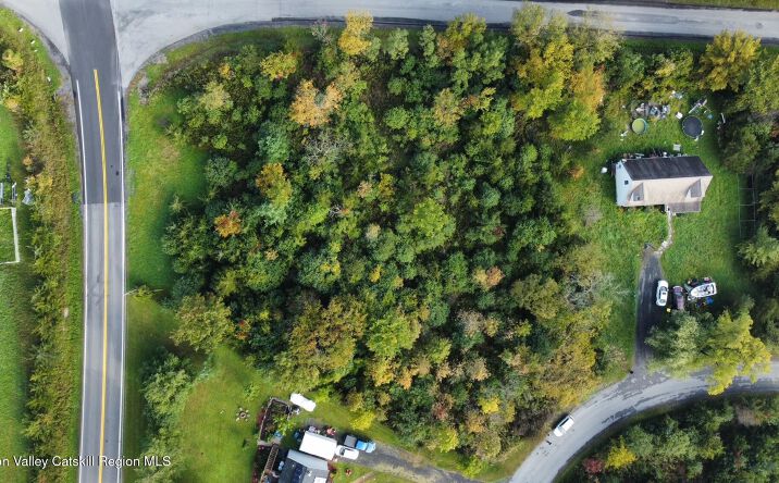Pictures of Land property located at 117 Haunted Cir, Coxsackie, NY 12051 for sales - image #1