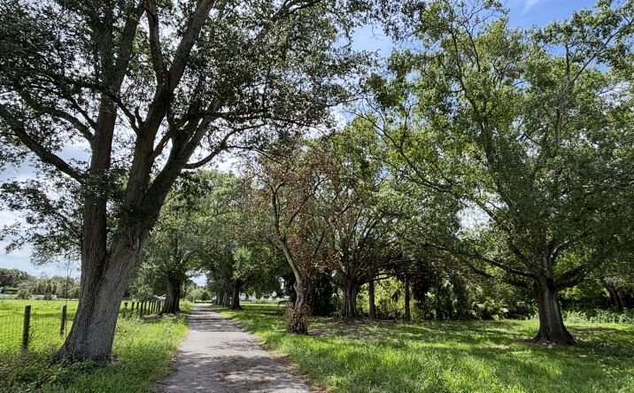 Pictures of Land property located at 375 & 311 County Road 720, Clewiston, FL 33440 for sales - image #1
