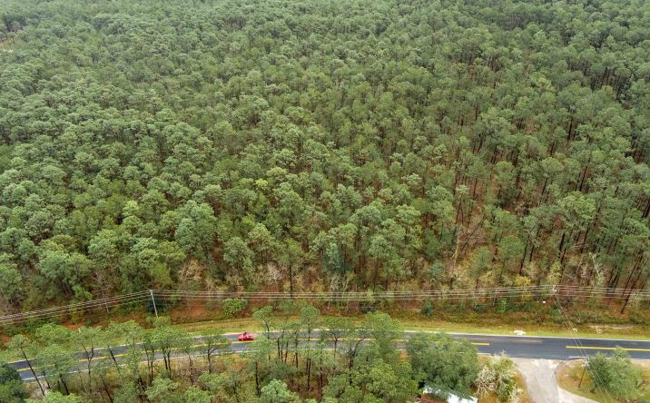 Pictures of Land property located at County Road 6, Gulf Shores, AL 36542 for sales - image #1