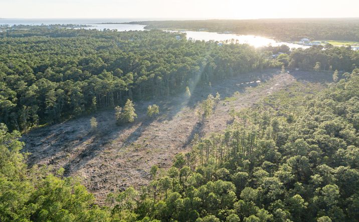Pictures of Land property located at County Road 6, Gulf Shores, AL 36542 for sales - image #1