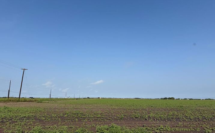 Pictures of Land, Multifamily property located at Bass Blvd., Harlingen, TX 78550 for sales - image #1