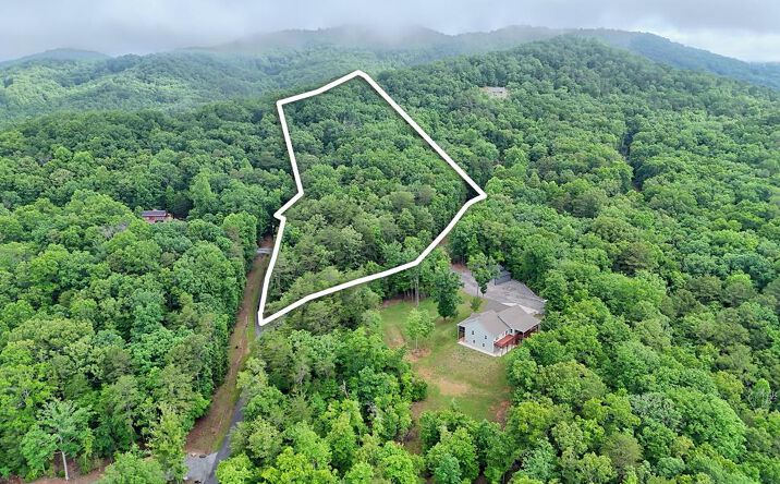 Pictures of Land property located at Lt 16, Warne, NC 28909 for sales - image #1