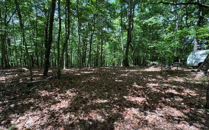 154 Chill Lane, Blairsville
