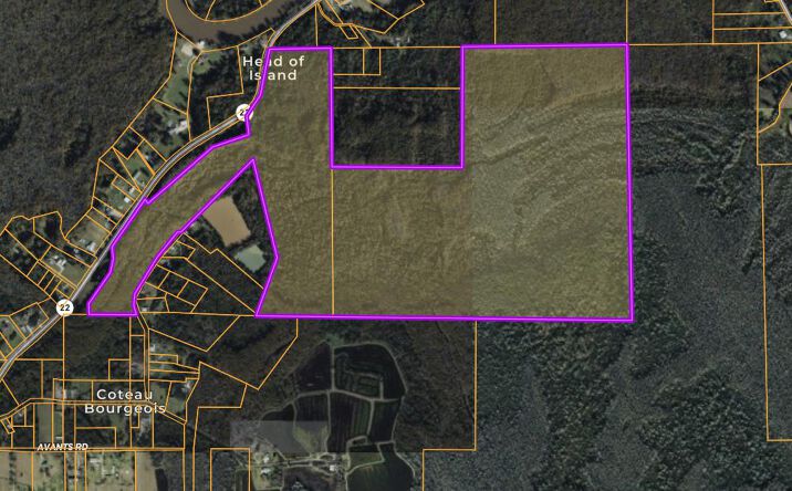 Pictures of Land property located at Vicknair Rd, Maurepas, LA 70449 for sales - image #1