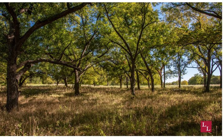 Pictures of Land property located at Rr 1 Box 54 B, Ringling, OK 73456 for sales - image #1
