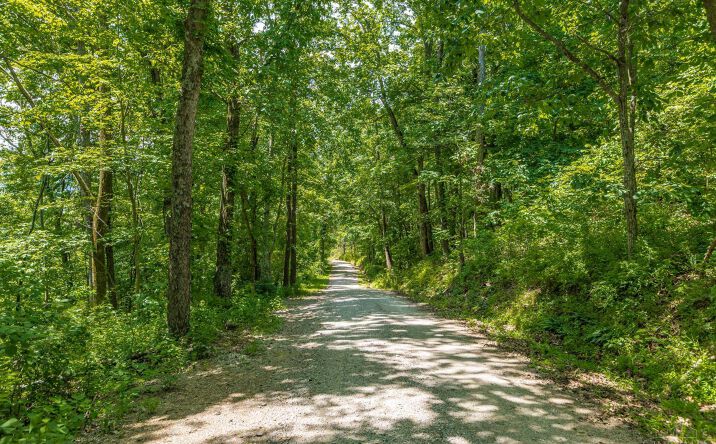 Pictures of Land property located at Coon Hollow Road, Blue Creek, OH 45616 for sales - image #1