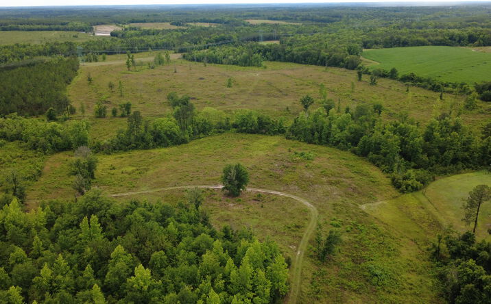 Pictures of Land property located at Highway 165, Eastman, GA 31023 for sales - image #1