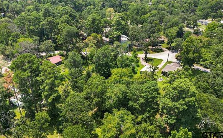 Pictures of Land property located at TBD Lot 1 Brierwood Drive, Frankston, TX 75763 for sales - image #1