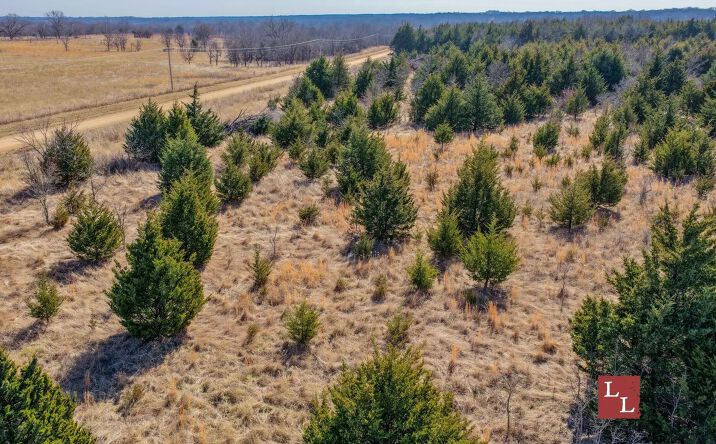 Pictures of Land property located at Center Rd, Mill Creek, OK 74856 for sales - image #1