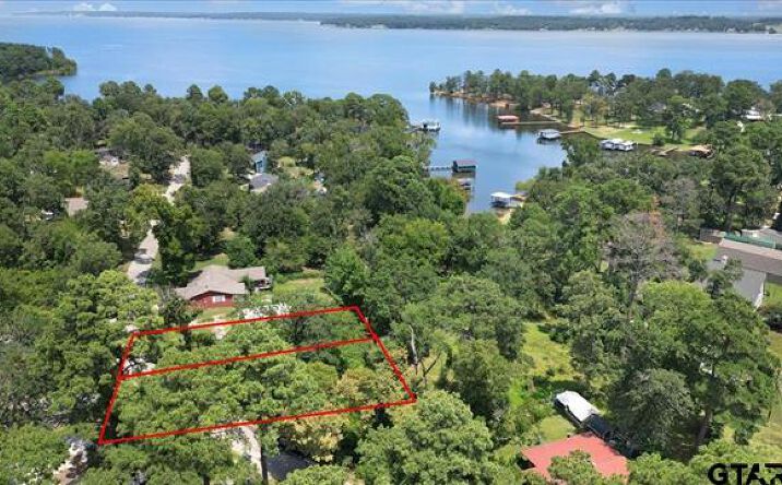 Pictures of Land property located at TBD Lot 2 Brierwood Drive, Frankston, TX 75763 for sales - image #1