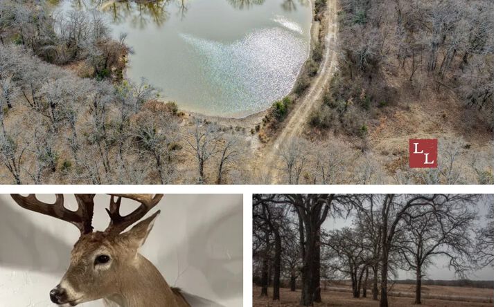 Pictures of Land property located at 0 Hoxbar Road, Ardmore, OK 73401 for sales - image #1