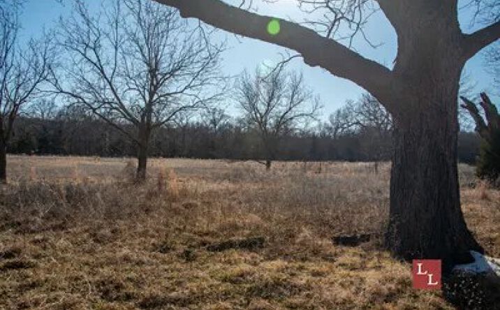 Pictures of Land property located at 13464 Tucks Ferry Rd, Marietta, OK 73448 for sales - image #1