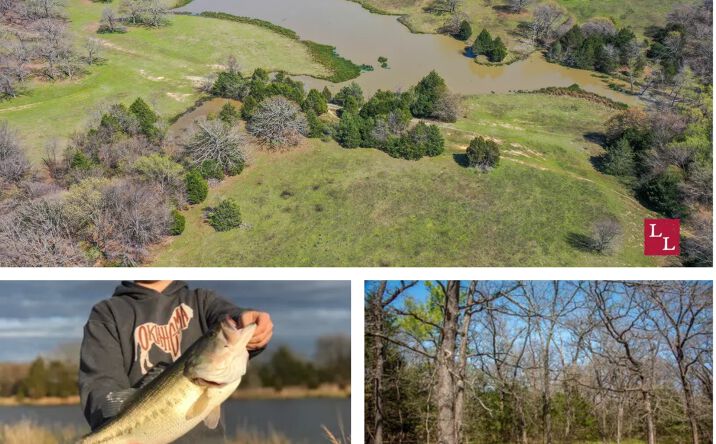 Pictures of Land property located at Filmore Road, Coleman, OK 73432 for sales - image #1