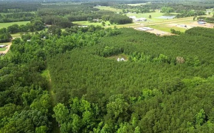 Pictures of Land property located at 1099 US-84, 68884, MS 39601 for sales - image #1
