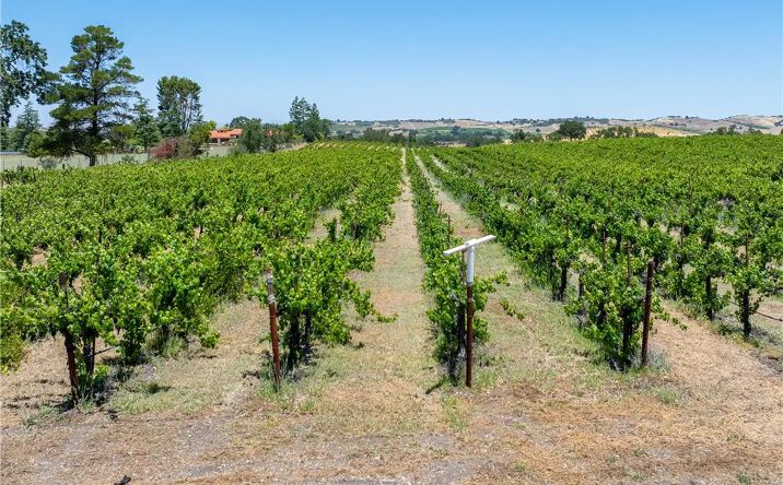 Pictures of Land property located at 175 White Hawk, Templeton, CA 93465 for sales - image #1
