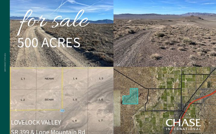 Pictures of Land property located at SR 399 & Lone Mountain Rd, T27 R31 SEC #19, Lovelock, NV 89419 for sales - image #1
