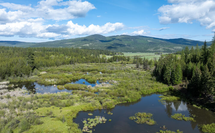 Pictures of Land property located at 3180 Browns Meadow Road, KILA, MT 59920 for sales - image #1