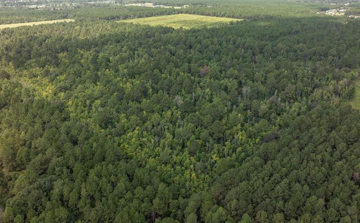 Pictures of Land property located at TBD Little Happy Ln, DeRidder, LA 70634 for sales - image #1
