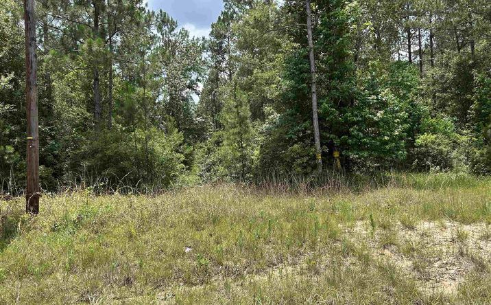 Pictures of Land, Multifamily, Special Purpose property located at Hwy 389 Highway, Merryville, LA 70653 for sales - image #1