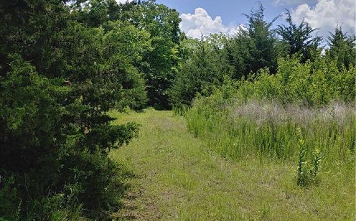 Pictures of Land property located at KIOWA Road, Oskaloosa, KS 66066 for sales - image #1