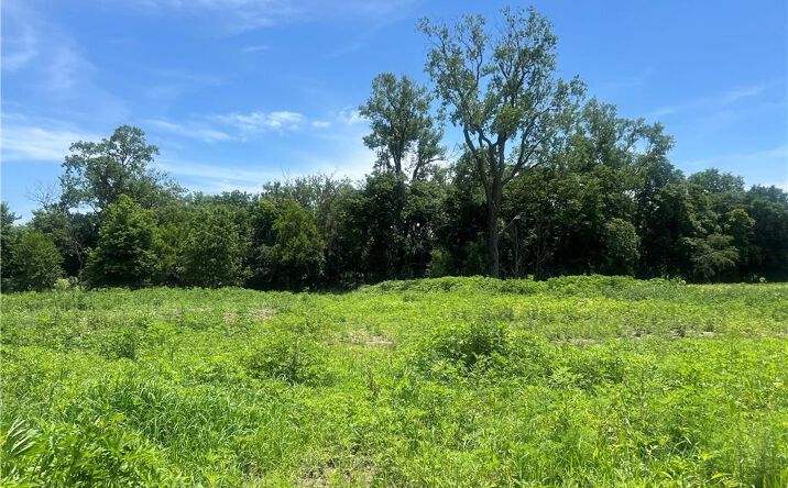Pictures of Land, Multifamily property located at Lot 4 Hope Lane, Odessa, MO 64076 for sales - image #1