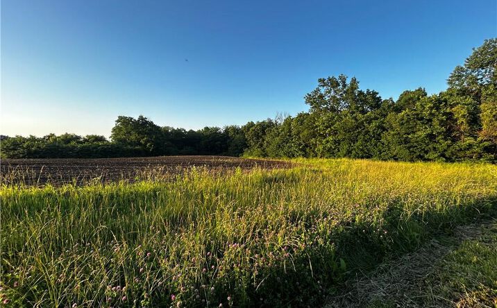 Pictures of Land, Special Purpose property located at SW 300th Road, Centerview, MO 64019 for sales - image #1