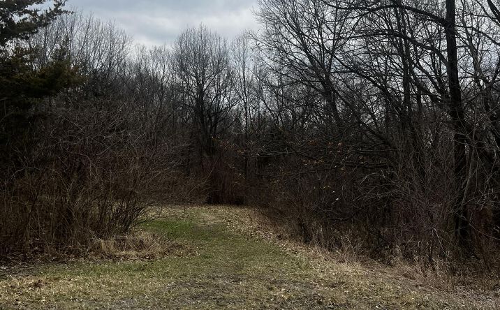 Pictures of Land property located at TBD 312th, Danville, IA 52623 for sales - image #1